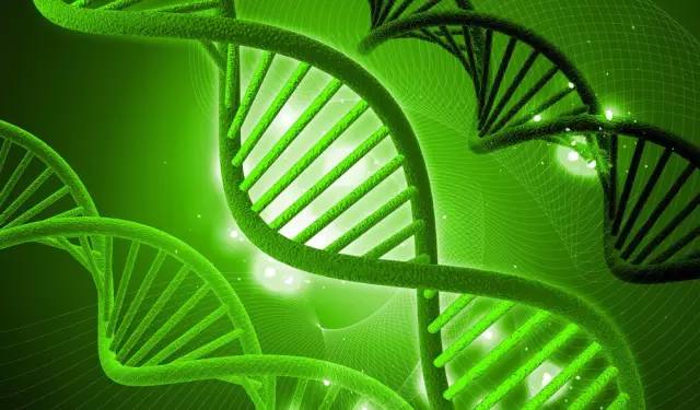 細胞生物科技投資選址項目 細胞生物科技投資選址項目