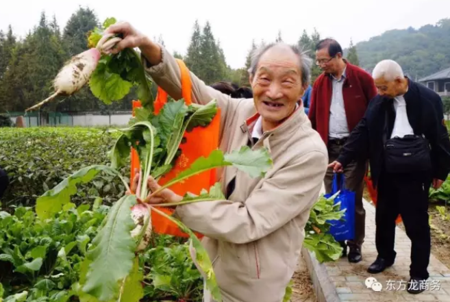東方龍商務(wù)上海總部舉行農(nóng)旅一體化全國(guó)布點(diǎn)投資選址項(xiàng)目的政府對(duì)接會(huì)