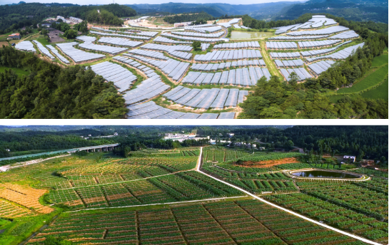 全力助推四川巴中恩陽區委托招商引資，合力打造產業新城