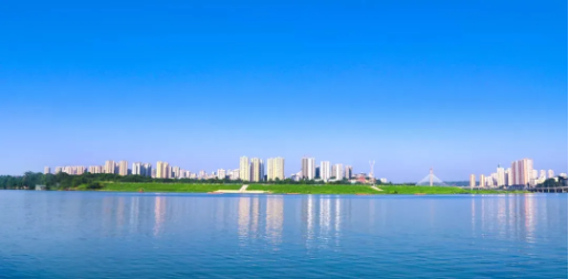 全力助推重慶潼南高新區(qū)委托招商引資，大力打造“6+1”產(chǎn)業(yè)集群！