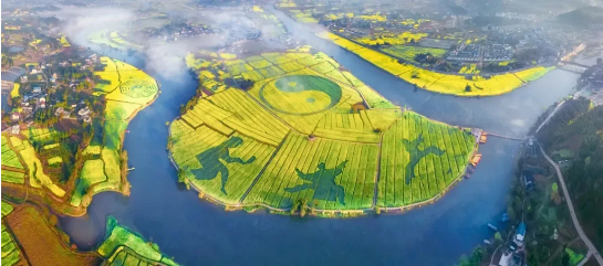 全力助推重慶潼南高新區(qū)委托招商引資，大力打造“6+1”產(chǎn)業(yè)集群！