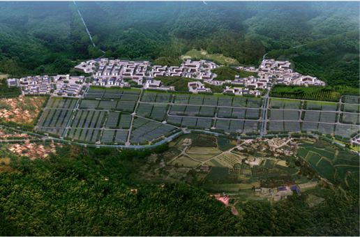 集團全力助推福建寧德周寧縣委托招商引資，強化特色產業實力，為全縣高質量發展增添新動力