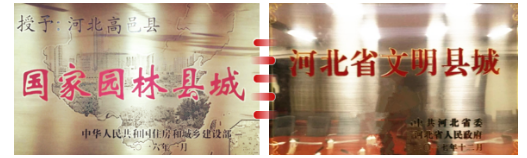 東方龍商務(wù)集團(tuán)助力河北高邑縣委托招商引資，以“新經(jīng)濟(jì)”撬動(dòng)“新引擎”