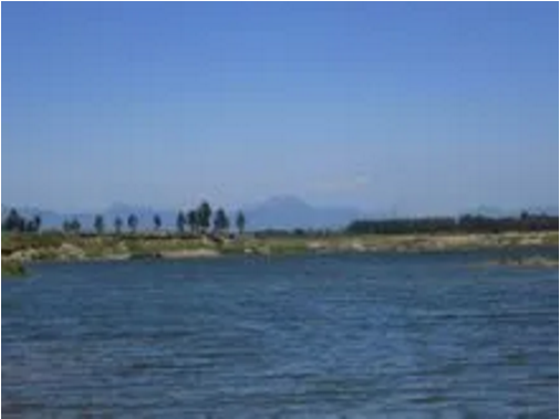 東方龍商務(wù)集團(tuán)助力河北高邑縣委托招商引資，以“新經(jīng)濟(jì)”撬動(dòng)“新引擎”
