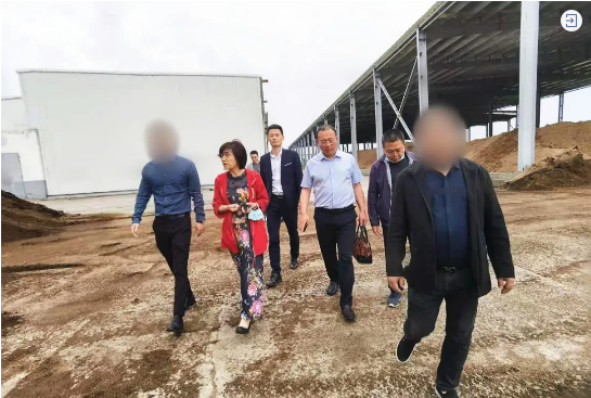 立足匹配優勢，深化政企合作！山西某地方政府成功對接考察食用菌工業種植投資選址項目企業