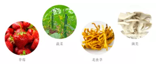 集團全力助推遼寧省燈塔市委托招商引資，以“特色小鎮(zhèn)”打造全國產(chǎn)業(yè)集聚區(qū)