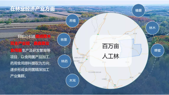 集團全力助推黑龍江齊齊哈爾拜泉縣委托招商引資，立足資源優勢，開辟產業集群高質量發展新高地