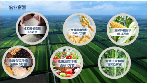 集團全力助推黑龍江齊齊哈爾拜泉縣委托招商引資，立足資源優勢，開辟產業集群高質量發展新高地