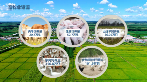 集團全力助推黑龍江齊齊哈爾拜泉縣委托招商引資，立足資源優勢，開辟產業集群高質量發展新高地