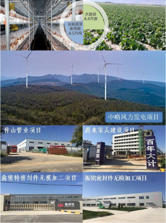 集團(tuán)全力助推陜西淳化縣委托招商引資，打造優(yōu)勢特色產(chǎn)業(yè)集群