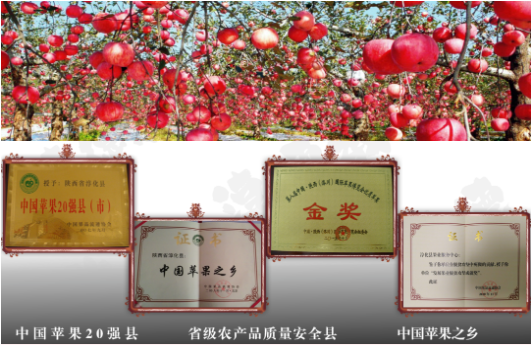 集團(tuán)全力助推陜西淳化縣委托招商引資，打造優(yōu)勢特色產(chǎn)業(yè)集群