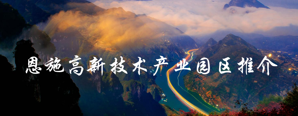 集團全力助推湖北恩施高新區委托招商引資，打造特色產業集群化發展新格局