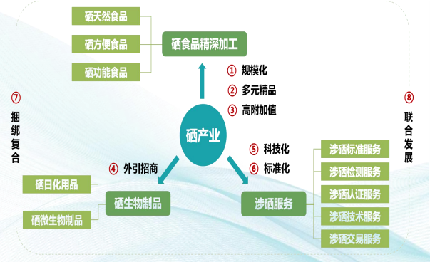 集團全力助推湖北恩施高新區委托招商引資，打造特色產業集群化發展新格局
