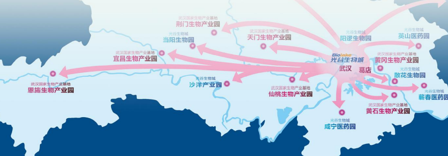 集團全力助推湖北恩施高新區委托招商引資，打造特色產業集群化發展新格局