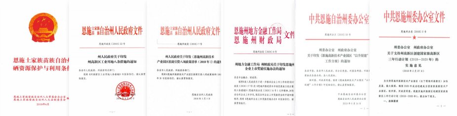 集團全力助推湖北恩施高新區委托招商引資，打造特色產業集群化發展新格局