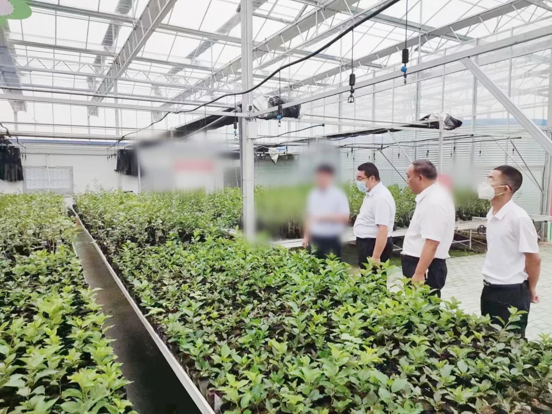 創新農業科技，培育發展動能！甘肅某地方政府考察智慧農業基地投資選址項目
