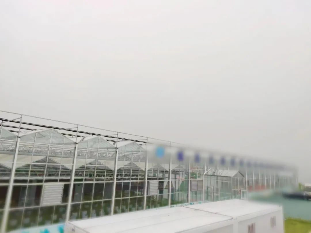 創新農業科技，培育發展動能！甘肅某地方政府考察智慧農業基地投資選址項目