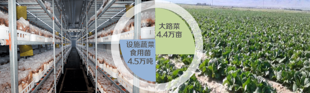 集團全力助推陜西淳化縣委托招商引資，激發產業新活力，培育發展新動能！