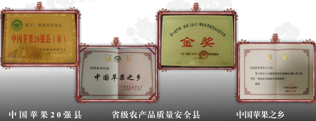 集團全力助推陜西淳化縣委托招商引資，激發產業新活力，培育發展新動能！