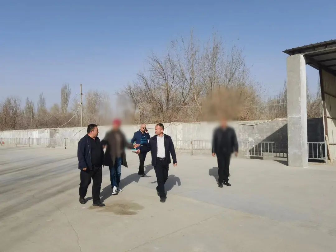 用時僅17天，投資額10億！新疆某地方政府與肉羊養殖加工產業投資選址項目成功簽訂投資協議