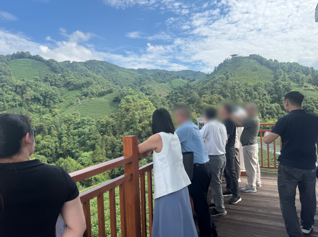 百項發明專利，全國擁有多個種植中心和生產基地！自主品牌茶葉加工生產擴建投資選址項目方實地考察廣西某地方政府